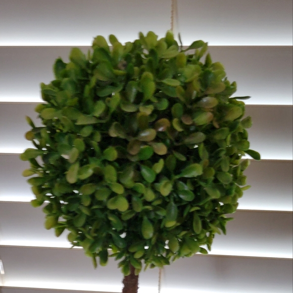 Farmhouse Lifelike Boxwood Topiary Tree in Decorative Urn Style Pot - Picture 7 of 7